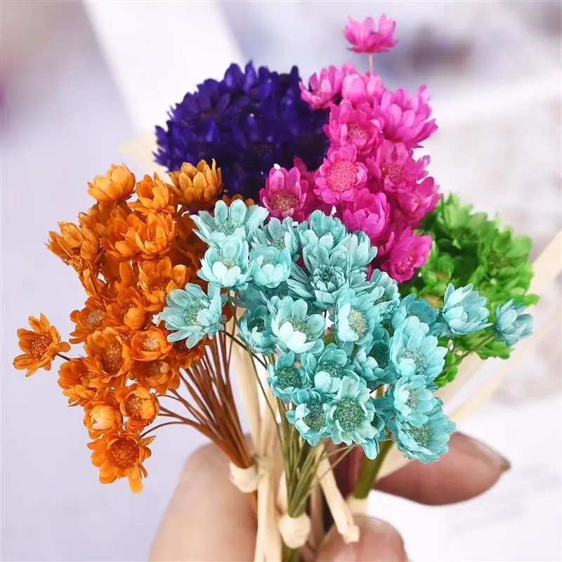 30 Adet Kurutulmuş Çiçekler UV Reçine Dolgu Mini Brezilya Yıldız krizantem çiçeği DIY Epoksi Reçine Kalıp Sanat Zanaat Takı yapma malzemeleri