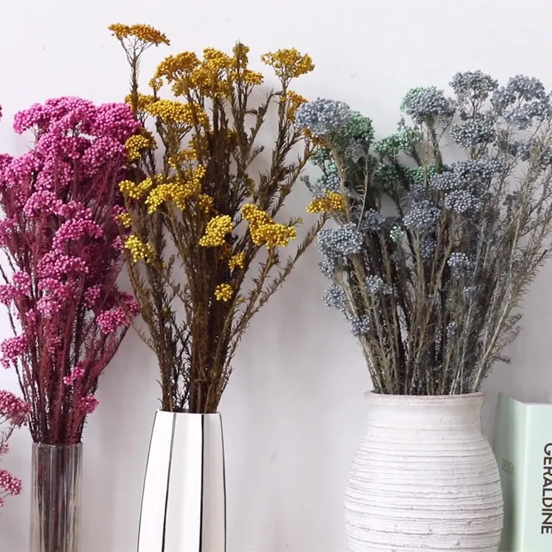 Doğal Taze Korunmuş Mi Çiçek darı Kurutulmuş Çiçek DIY çelenk buket çiçekler Düğün Parti Ev Dekorasyon Aksesuarları