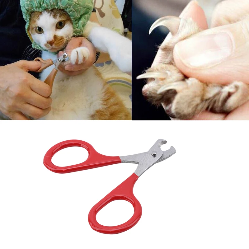 Kedi Çivi Makas Pet Kedi Pençe Bakım Araçları Pet Malzemeleri Aksesuarları Kedi Pençe Temizleme Araçları tırnak makası