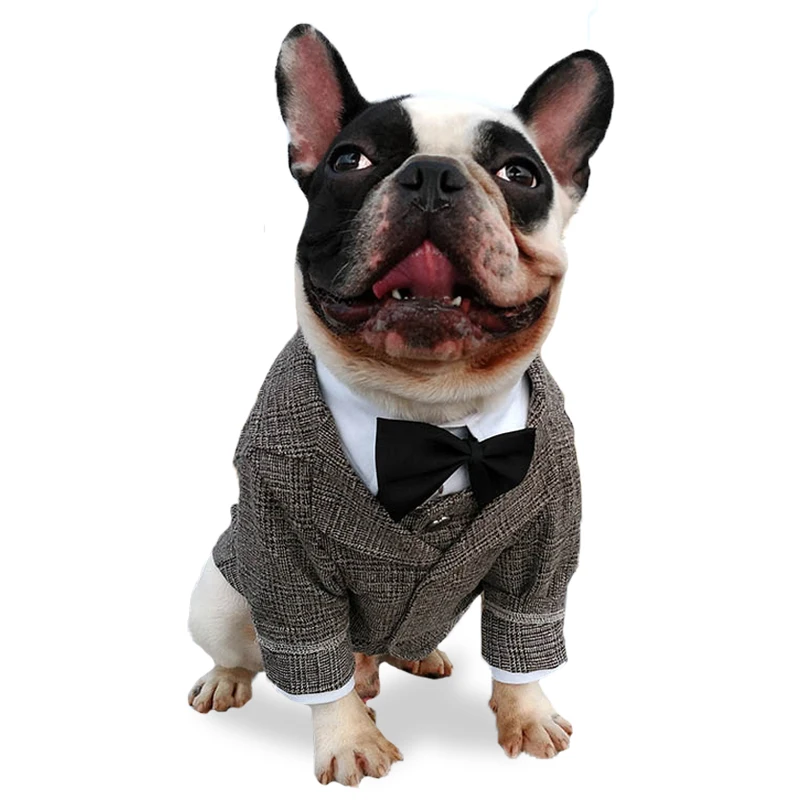 Pet Köpek Beyefendi Takım Elbise Ceket Düğün Parti evcil köpek kıyafeti Yelek Ceket Küçük Orta Labrador Fransız Bulldog Kedi Köpek Kostüm
