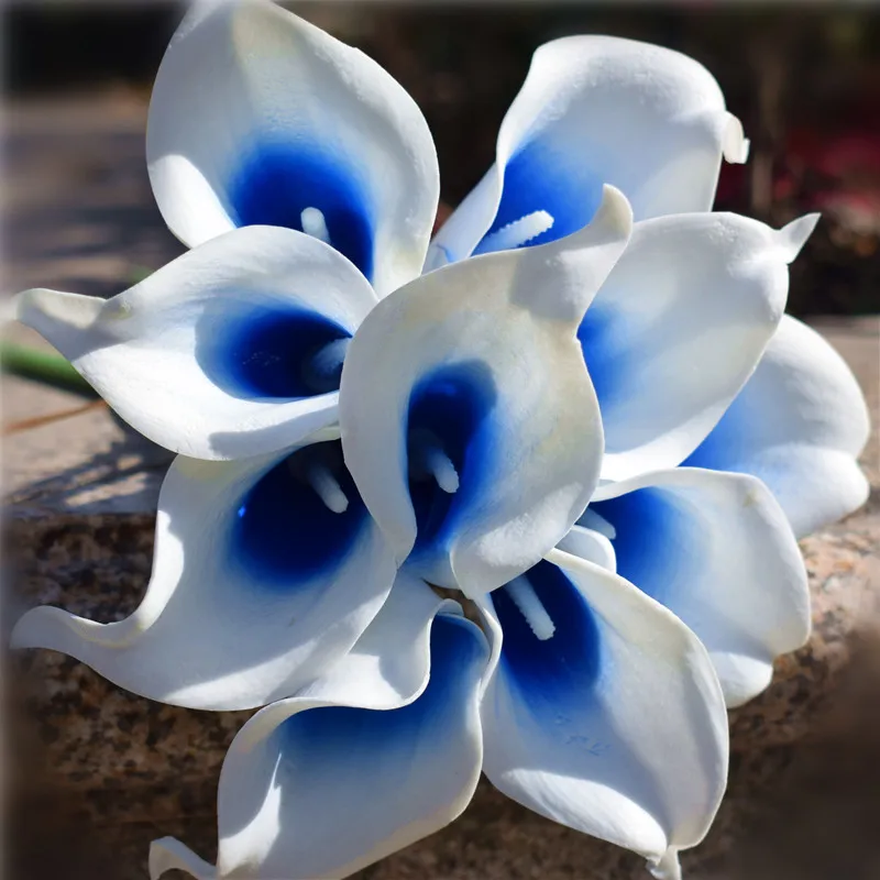 Picasso Calla Lilyum Kraliyet Mavi Buket Callas Çiçekler Gelin Nedime Buketleri Düğün Centerpieces Korsaj DIY Çiçekler