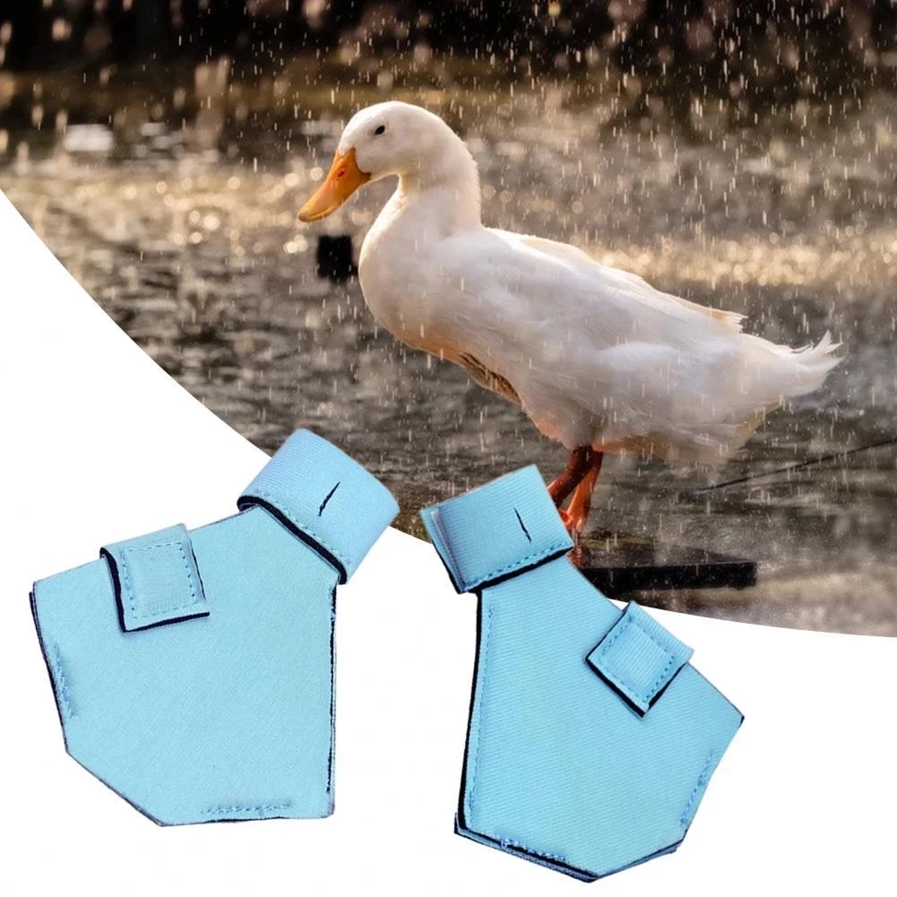 Su geçirmez Hafif Pet Ördek Ayakkabı Rahat Yürüyüş Patik Ayakkabı Küçük Ördekler için Kaz Açık Ördek Patik