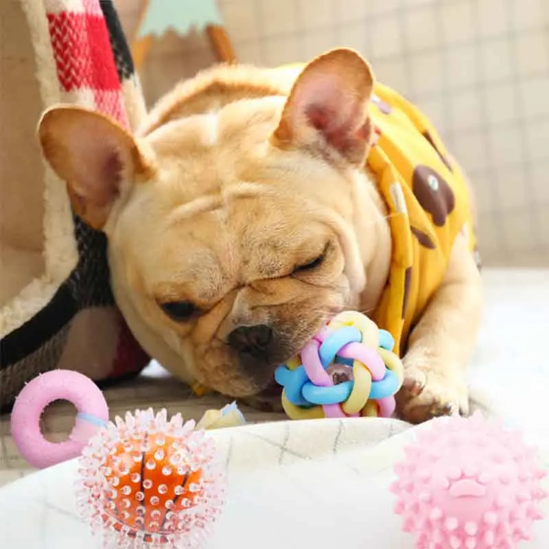 Yeni Pet Oyuncak Köpek Topu Pet Diş Temizleme Çiğneme Kauçuk Oyuncaklar Küçük Köpekler için Kauçuk Köpek Oyuncak Evcil Hayvan Aksesuarları Köpek Aksesuarları