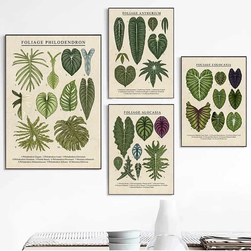 Yeşillik Philodendron Bitki Tuval Resimleri Antoryum Posterler ve Baskılar duvar Sanatı Resimleri ıçin Oturma Odası Dekorasyon Cuadros