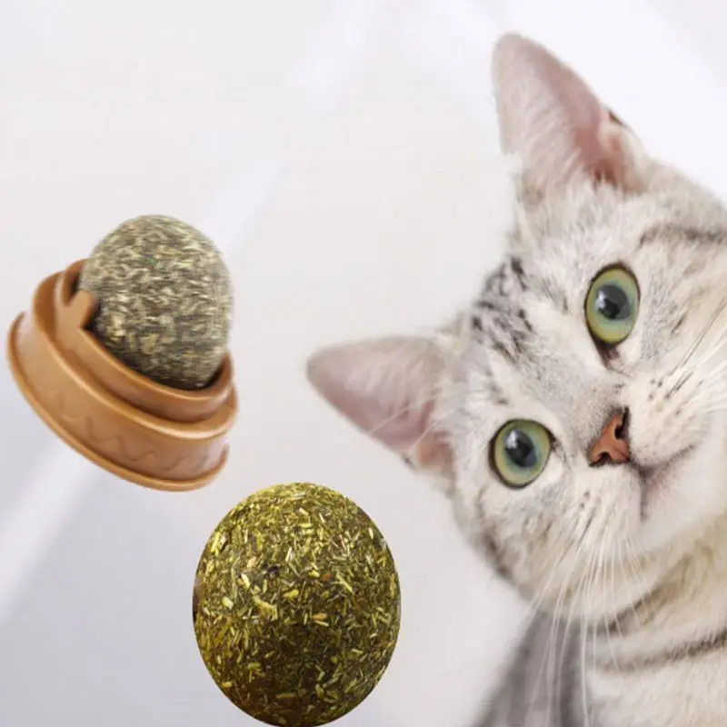 Doğal Catnip Duvar-on Sopa Topu Oyuncak Sağlıklı Doğal Çim Snack Kedi Oyuncak Davranır 