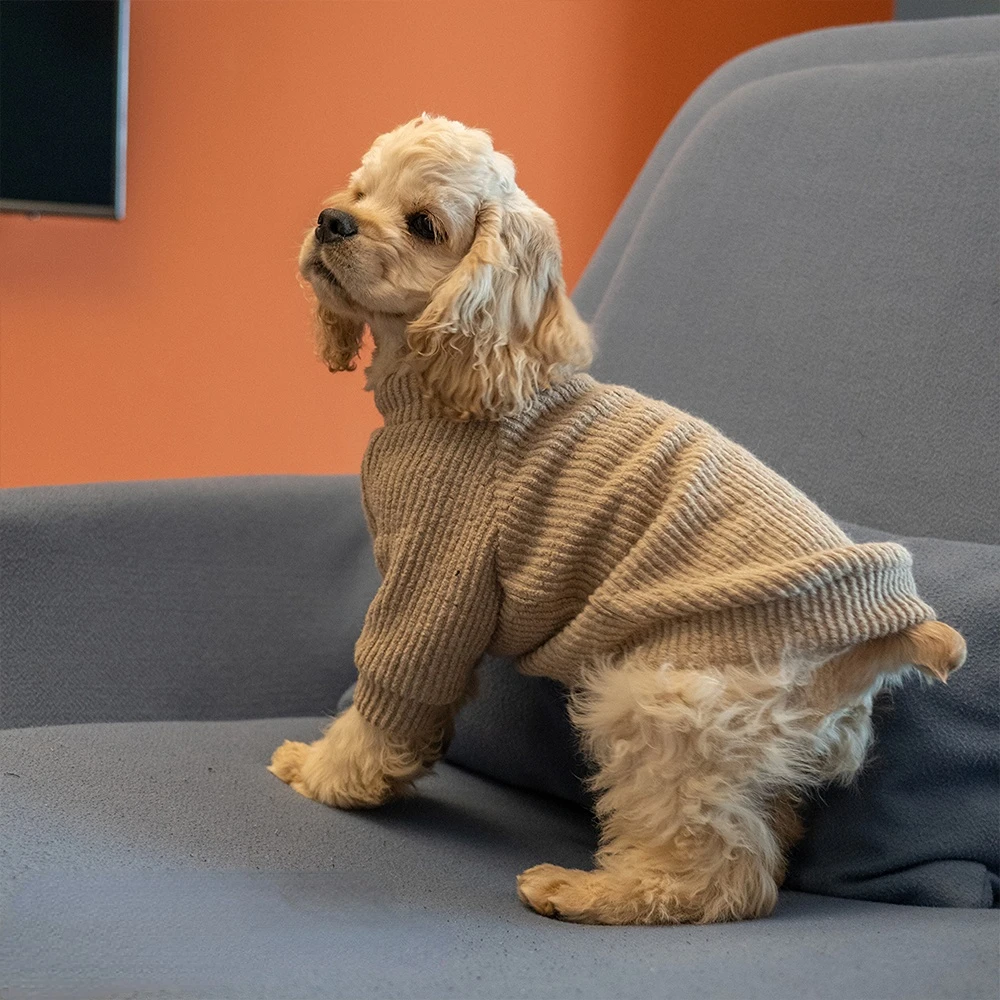 Köpek Kazak Kış Sıcak Köpek Giysileri Küçük Köpekler için Balıkçı Yaka Örme Pet Giyim Yavru Kedi Kazak Yelek Chihuahua Yorkie Ceket