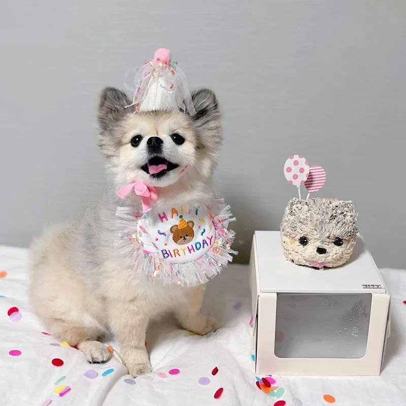 Köpek Malzemeleri Doğum Günü Partisi Pet Doğum Günü tükürük havlusu Bichon Üçgen Eşarp Önlük Şapka tükürük havlusu Seti Chihuahua Köpek Aksesuarları